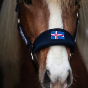 TOP REITER KALKI GRIME M. LEIETAU BLÅTT ME FLAGG