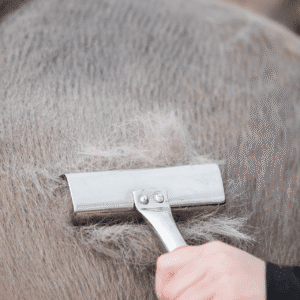 TOP REITER CURRY COMB WITH GEL GRIP