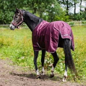 HG LANDON 1200D TURNOUT DEKKEN 0g