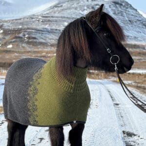 KIDKA TURTLENECK BLANKET GREEN - Bilde 2