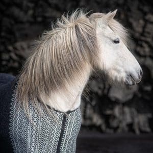 KIDKA BORG HORSE RUG - Bilde 2
