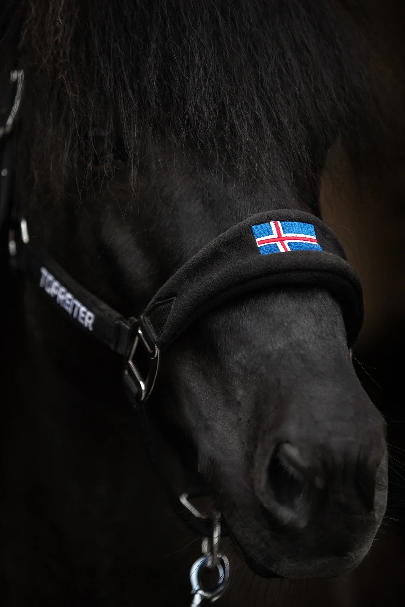 TOP REITER KLAKI GRIME SORT MED FLAGG OG LEIETAU - Bilde 2
