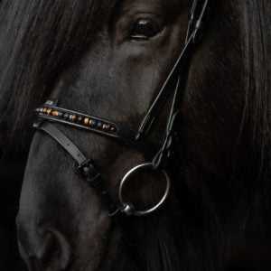 TOP REITER ORKA BOMBINERT NESEREIM BRUN