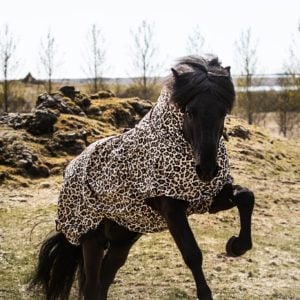 TOP REITER EKSEMDEKKEN LEO BRUN