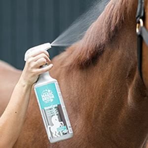 MAGIC BRUSH MANE CARE AND SHINY COAT - Bilde 2