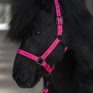 TOP REITER ROSA LOGOGRIME