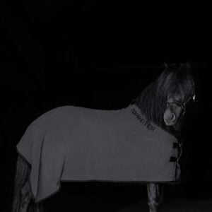 TOPREITER ANTI SWEAT RUG GREY