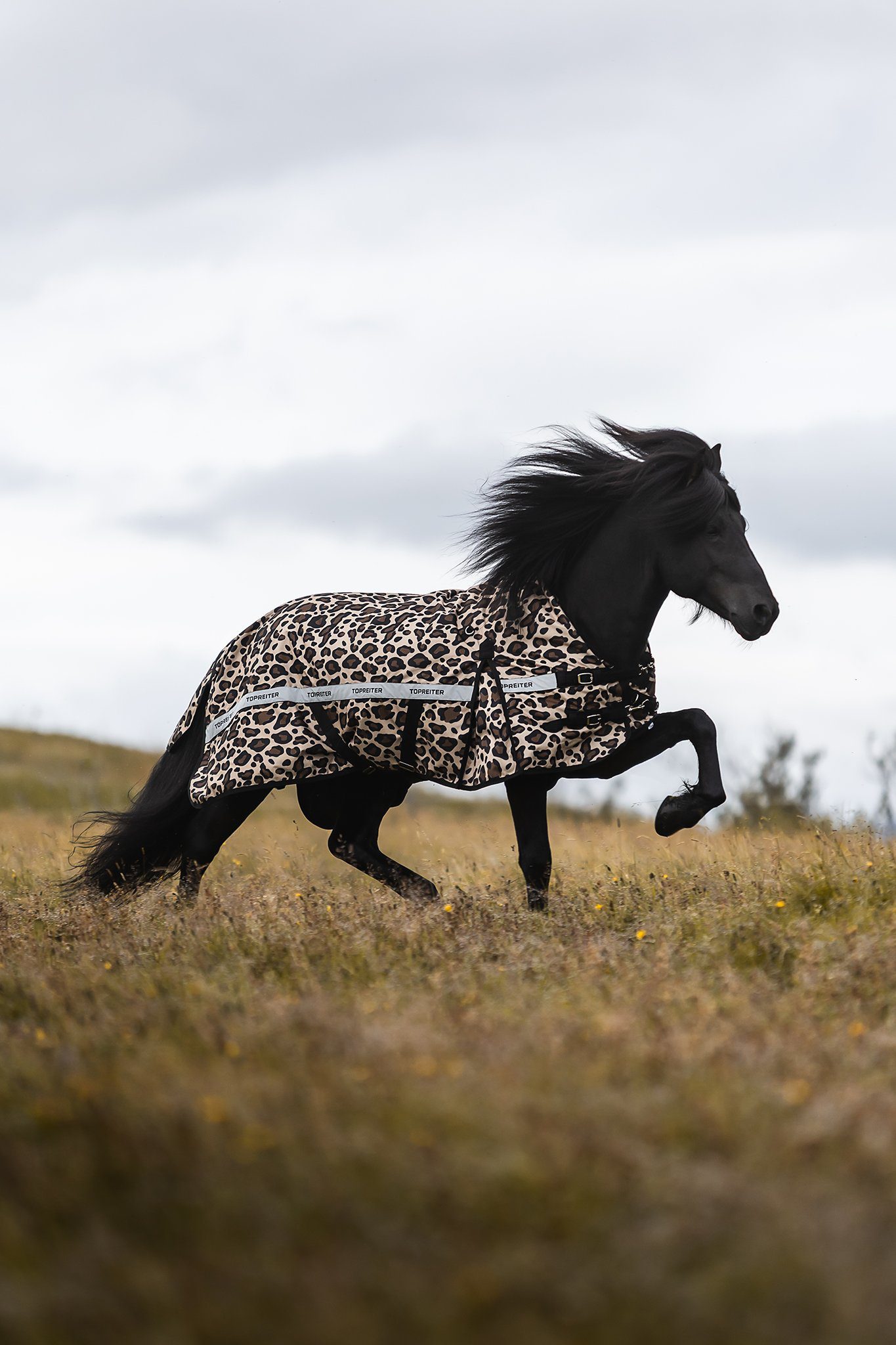 FORHÅNDSBESTILLING TOP REITER REGNDEKKEN LEOPARD - Bilde 4