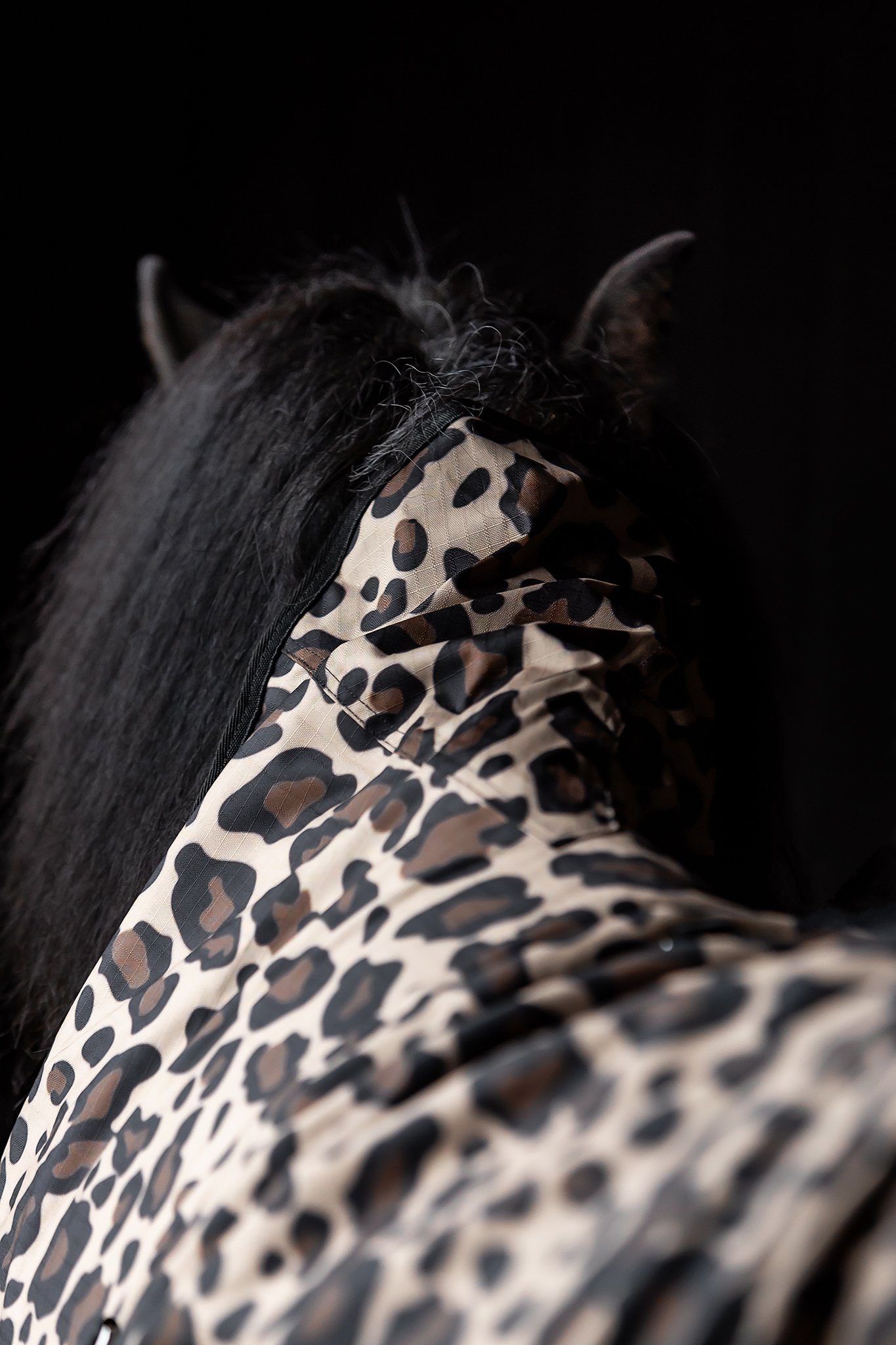 FORHÅNDSBESTILLING TOP REITER REGNDEKKEN LEOPARD - Bilde 3