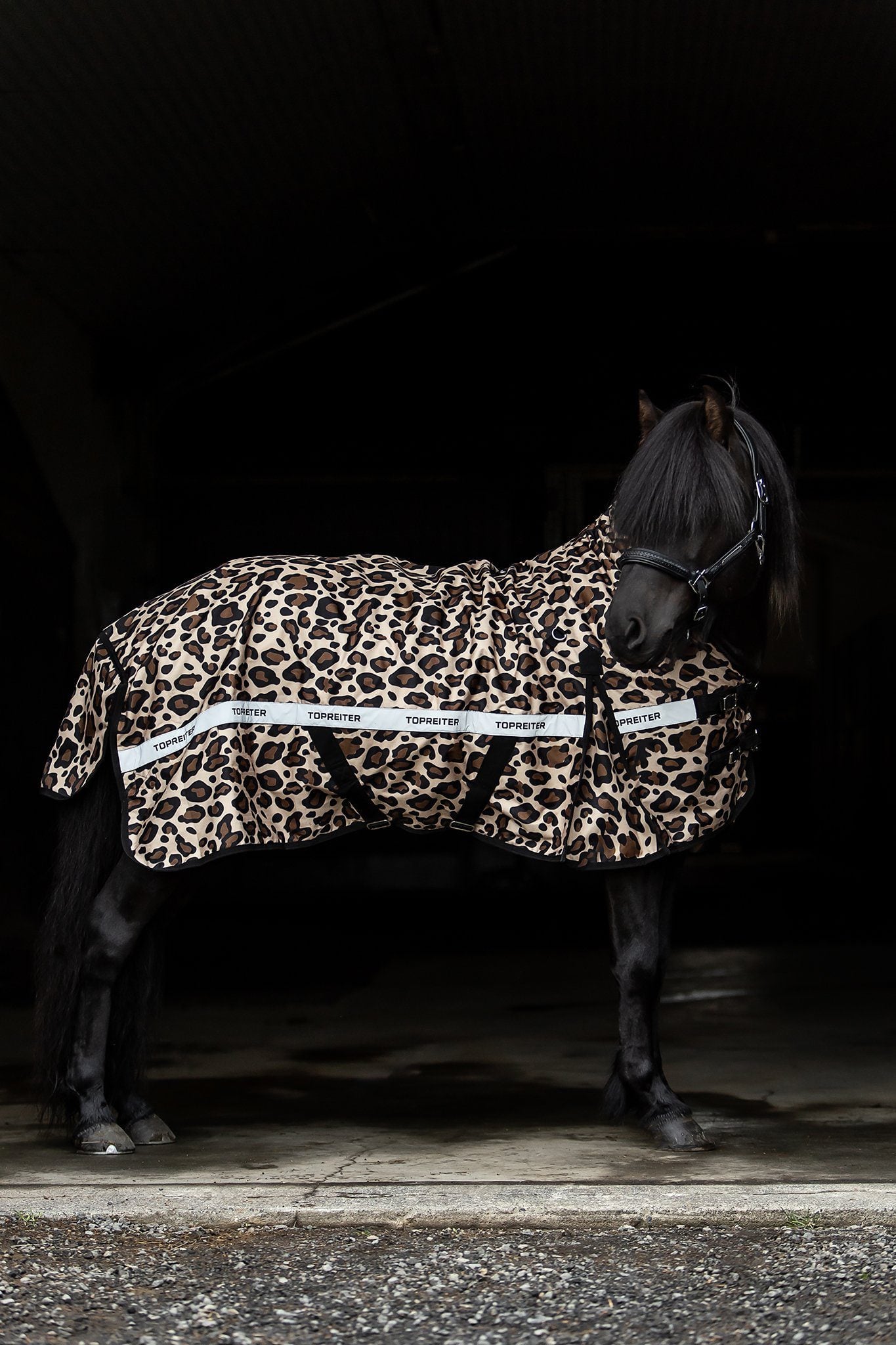 FORHÅNDSBESTILLING TOP REITER REGNDEKKEN LEOPARD