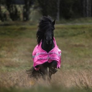 FORHÅNDSBESTILLING TOP REITER REGNDEKKEN ROSA
