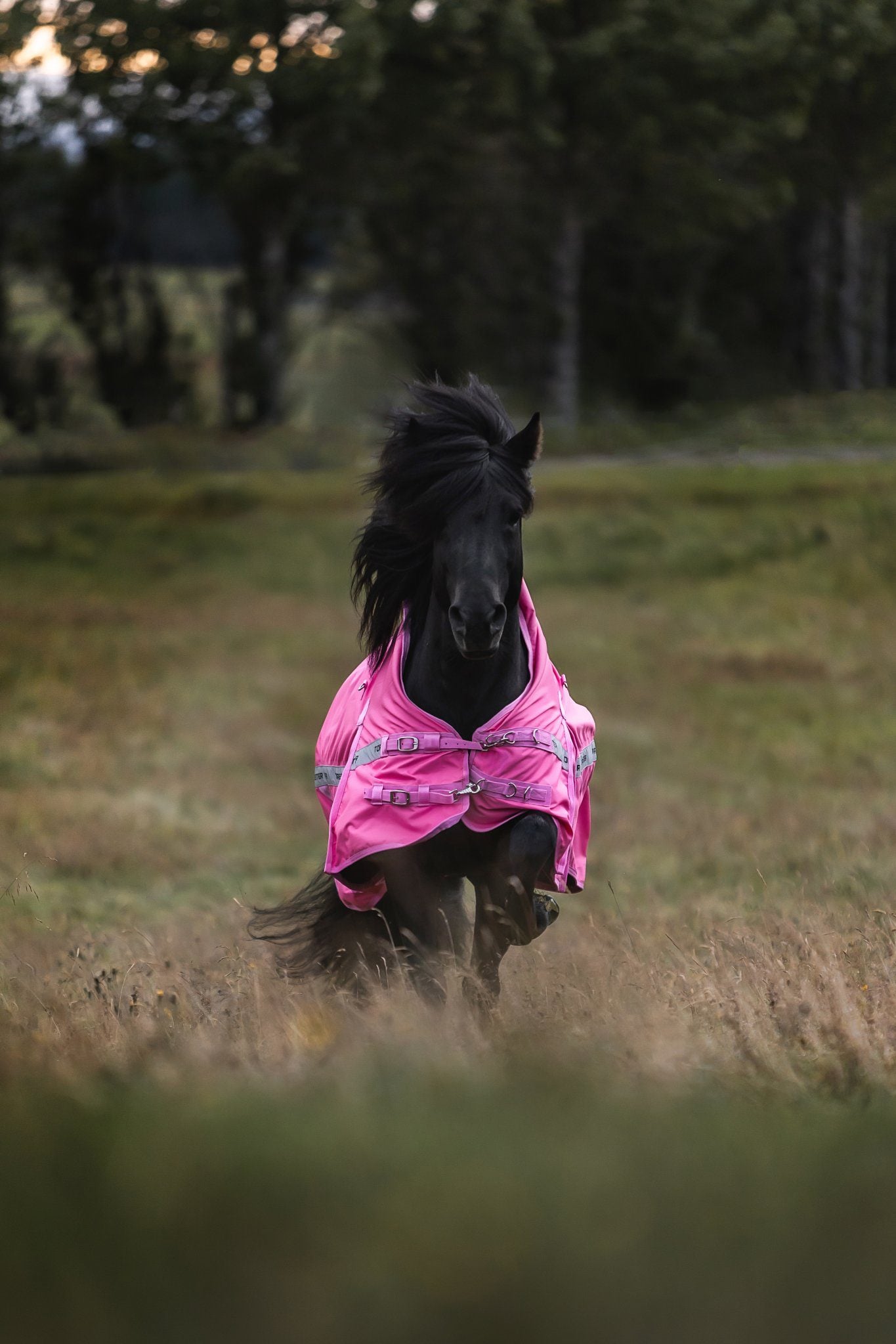 FORHÅNDSBESTILLING TOP REITER REGNDEKKEN ROSA
