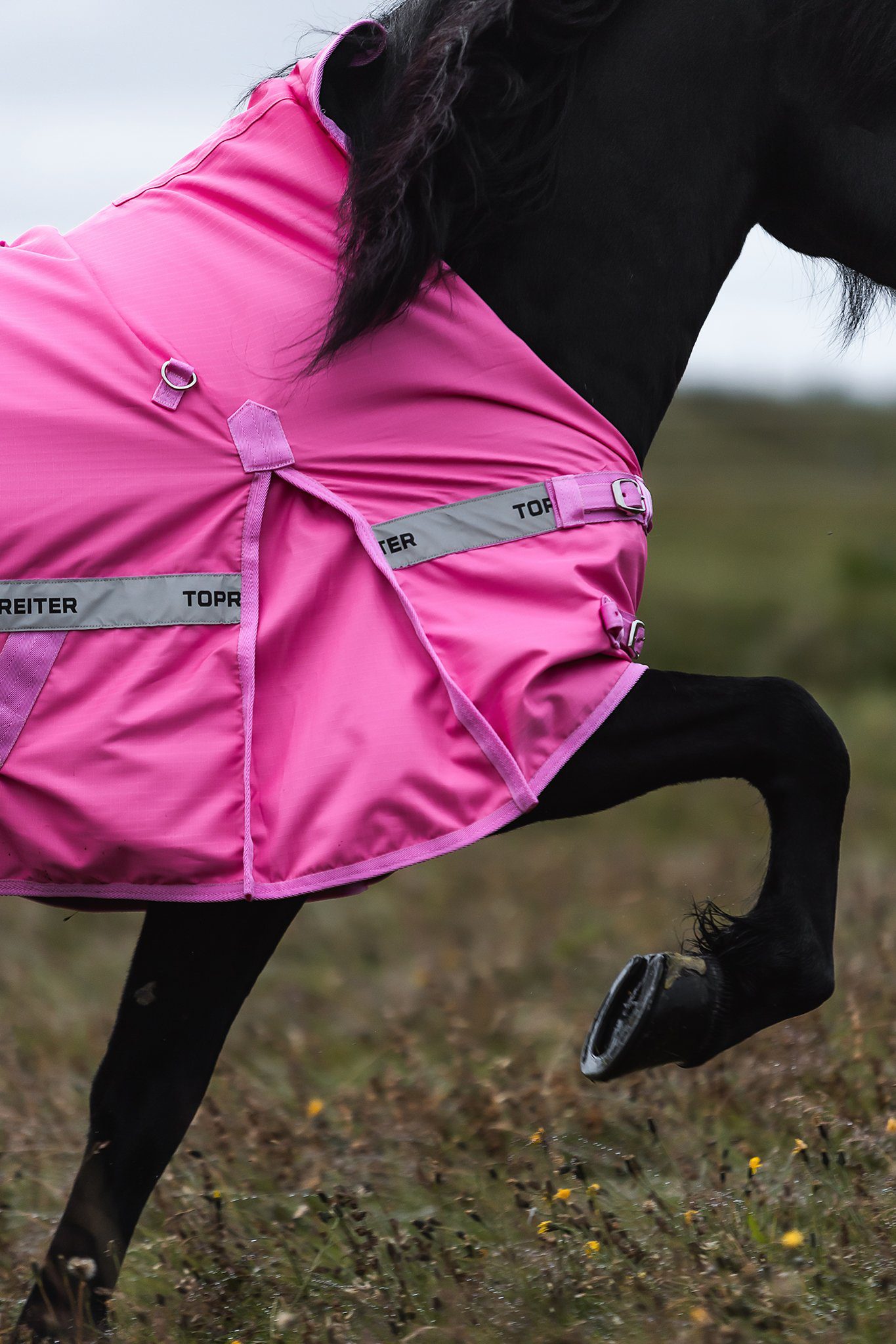 FORHÅNDSBESTILLING TOP REITER REGNDEKKEN ROSA - Bilde 2